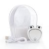 EMS Microcurrent Face Lifting Device 3D Roller Facial Massager Anti wrinkle Tighten Skin Rejuvenation Beauty Apparatus With Bag